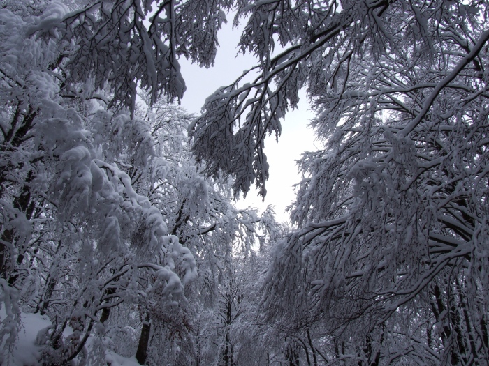 merletti di neve